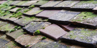Whitson roof repair costs